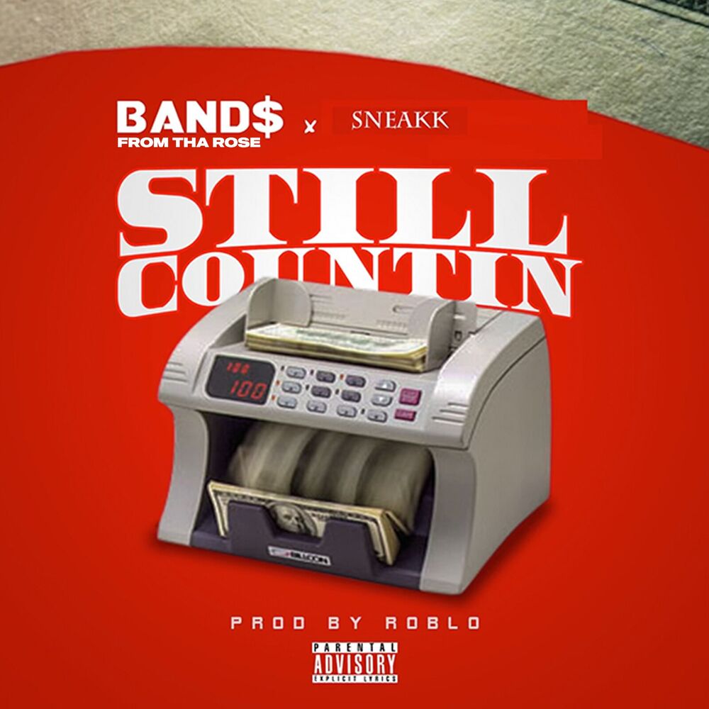 Picture of Still Countin