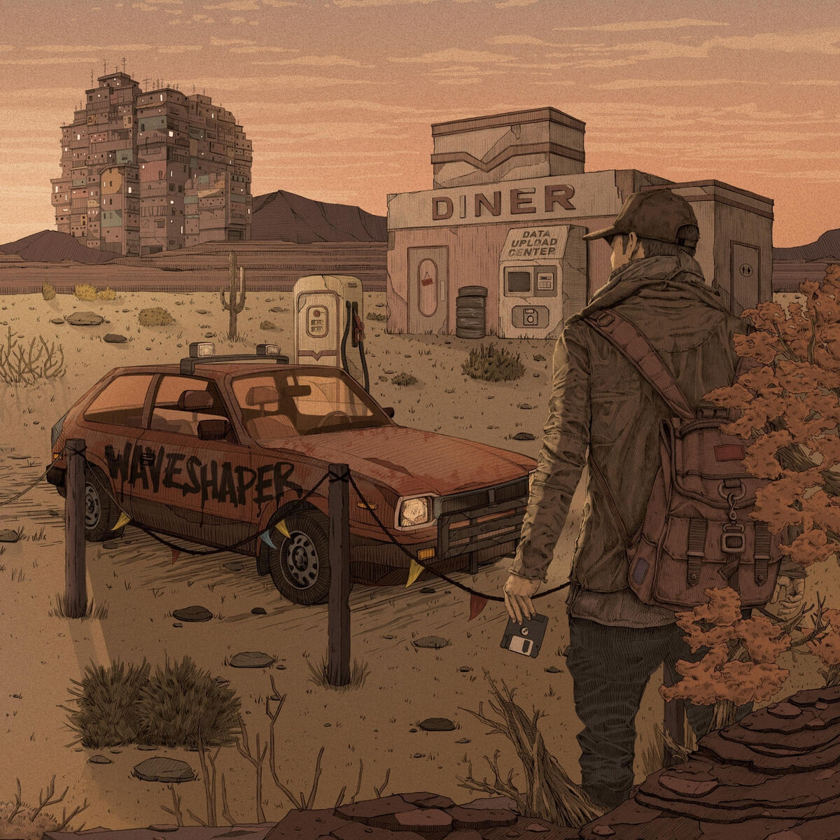 Album cover of The Disk Hunter