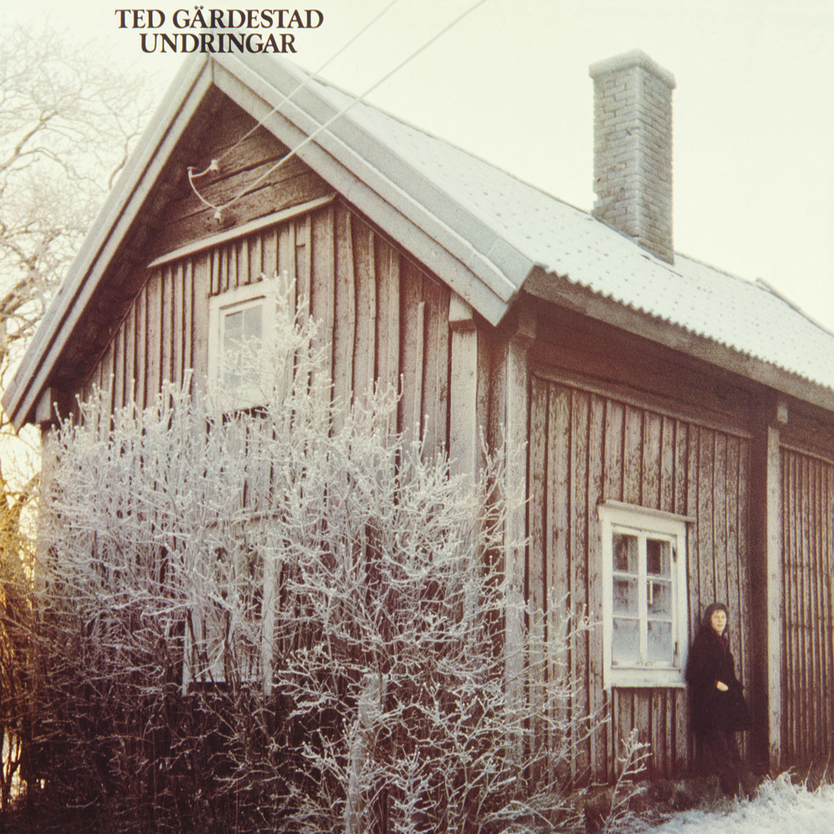 Ted Gärdestad: albumy, piosenki, koncerty | Deezer