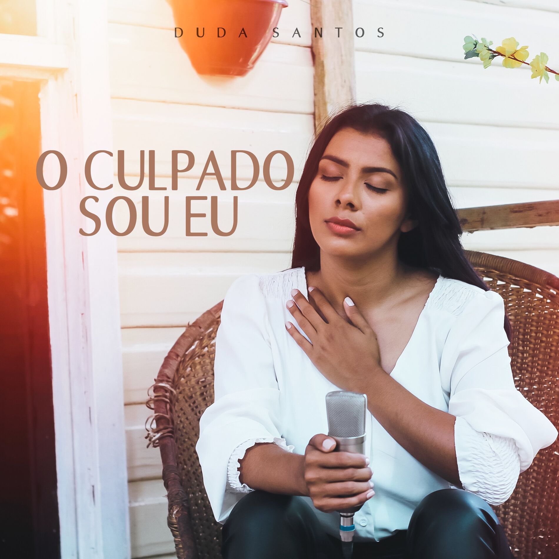 Album cover of O Culpado Sou Eu