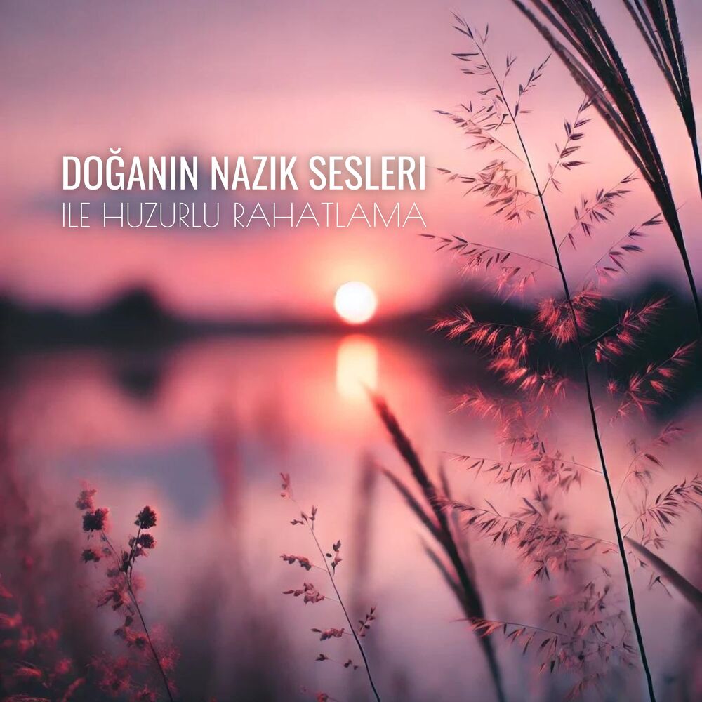 Picture of Doğanın Nazik Sesleri ile Huzurlu Rahatlama