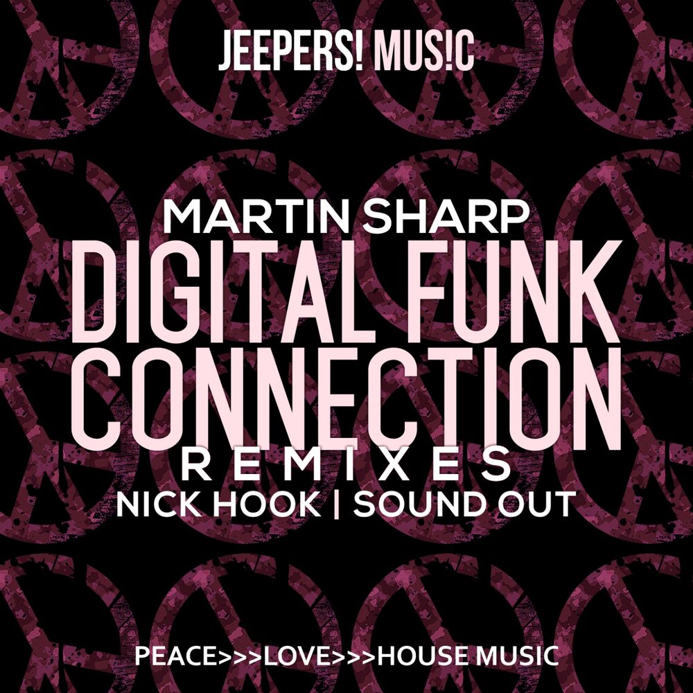 Picture of Digital Funk Connection (Remixes)