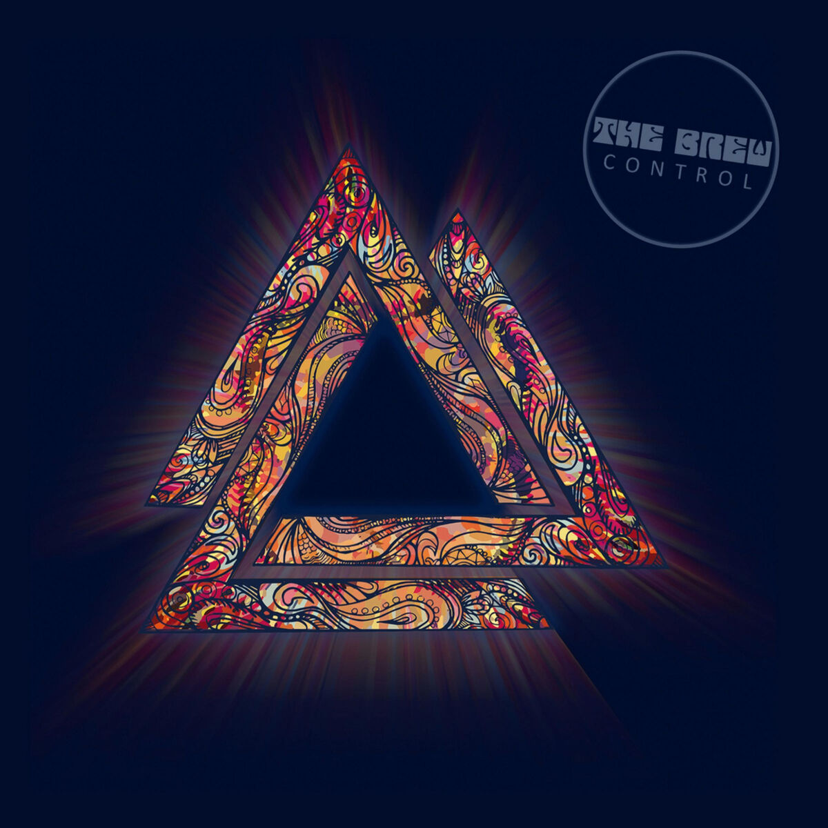 Album cover of Control