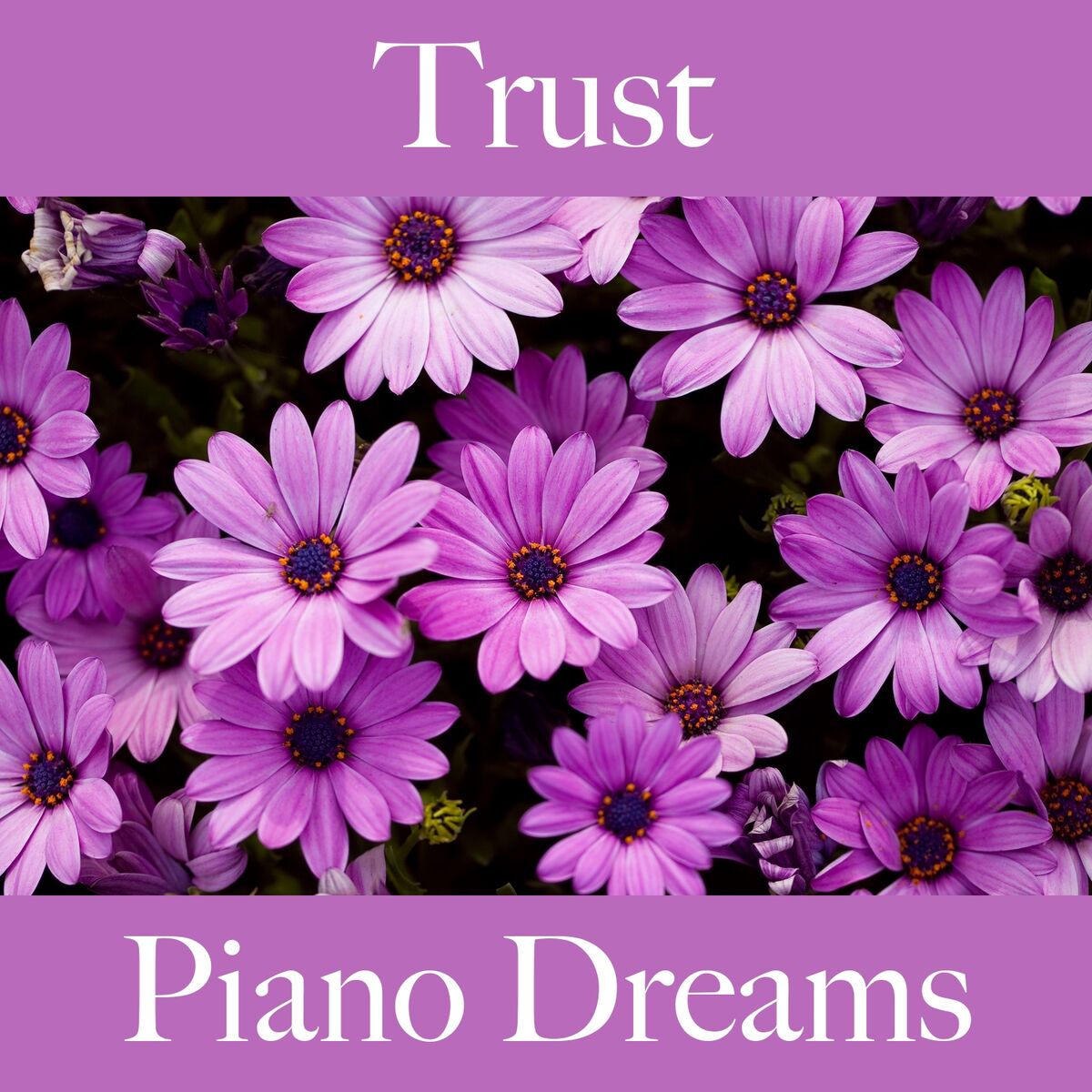 Album cover of Trust: Piano Dreams - The Best Music For Relaxation