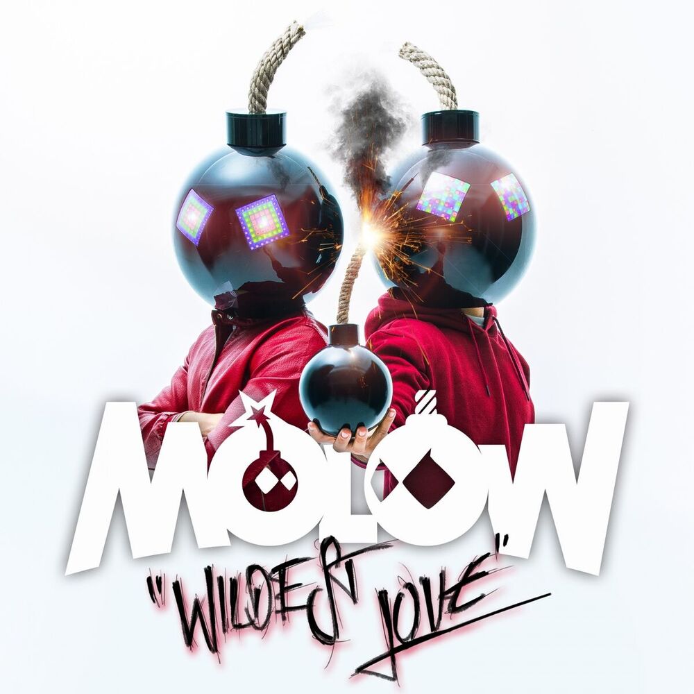 Picture of Wildest Love (Radio Edit)