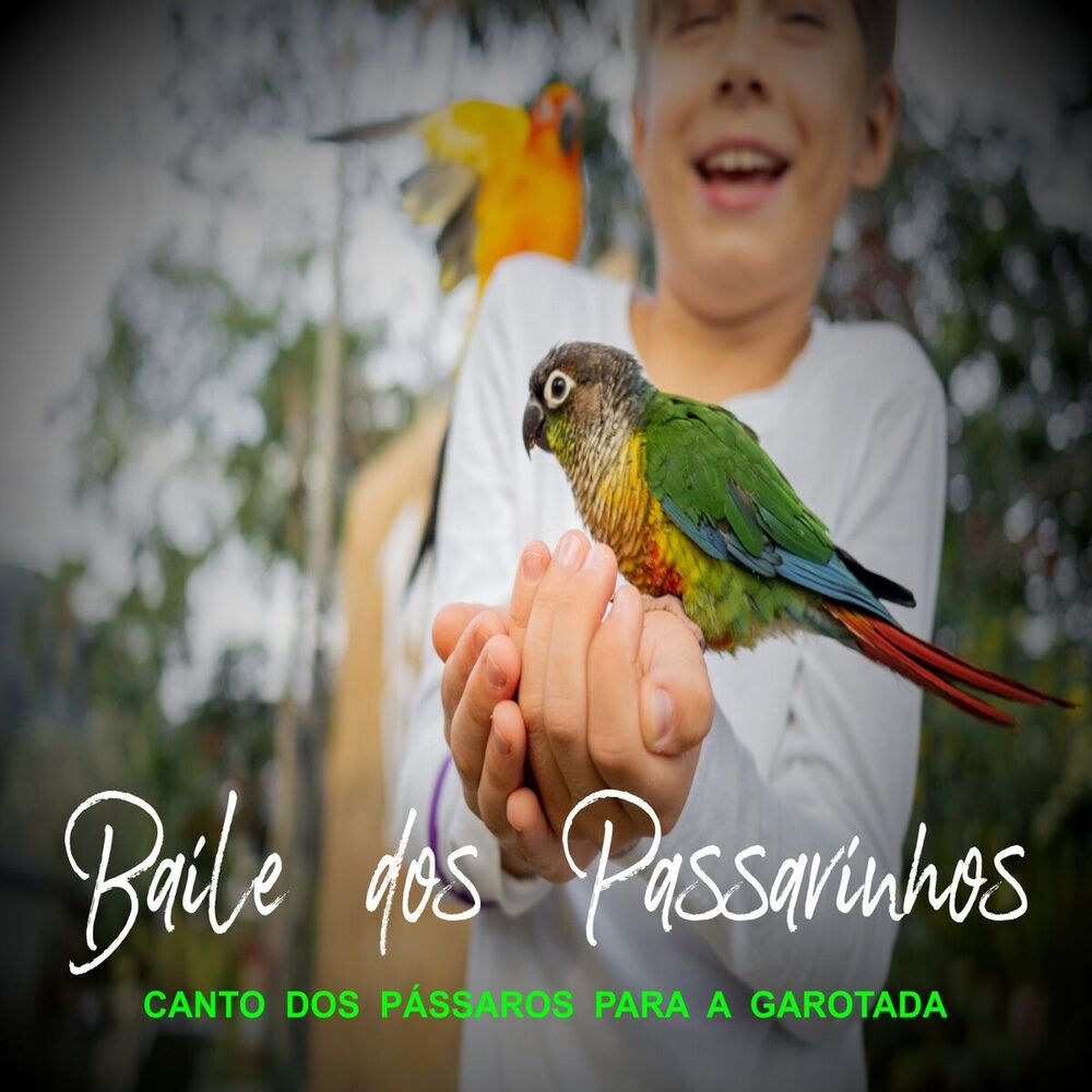 Picture of Baile Dos Passarinhos - Canto dos Pássaros para a Garotada