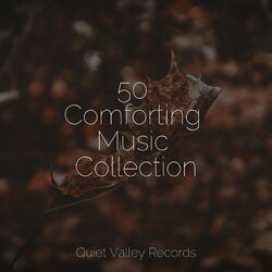 Cover of 50 Comforting Music Collection