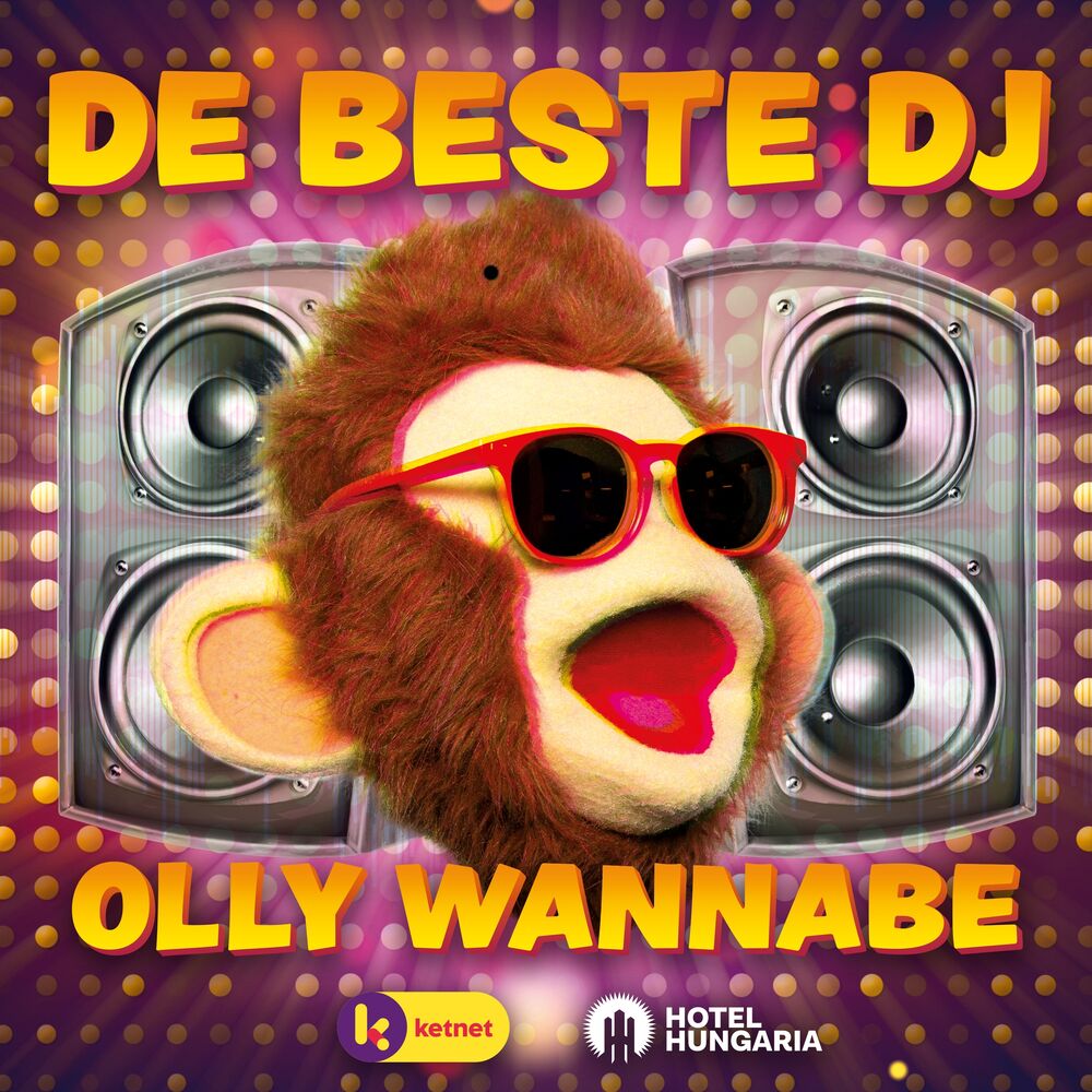 Picture of De Beste DJ!