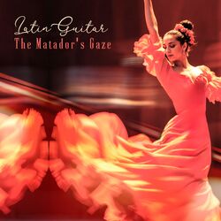 Cover of The Matador's Gaze