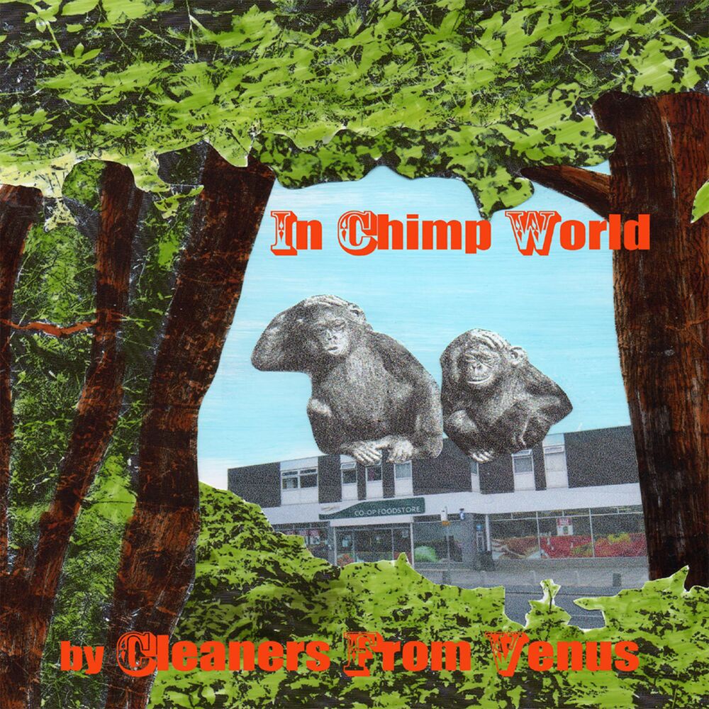 Picture of In Chimp World