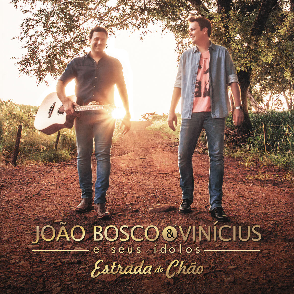 Album cover of Você É Tudo Que Pedi Pra Deus
