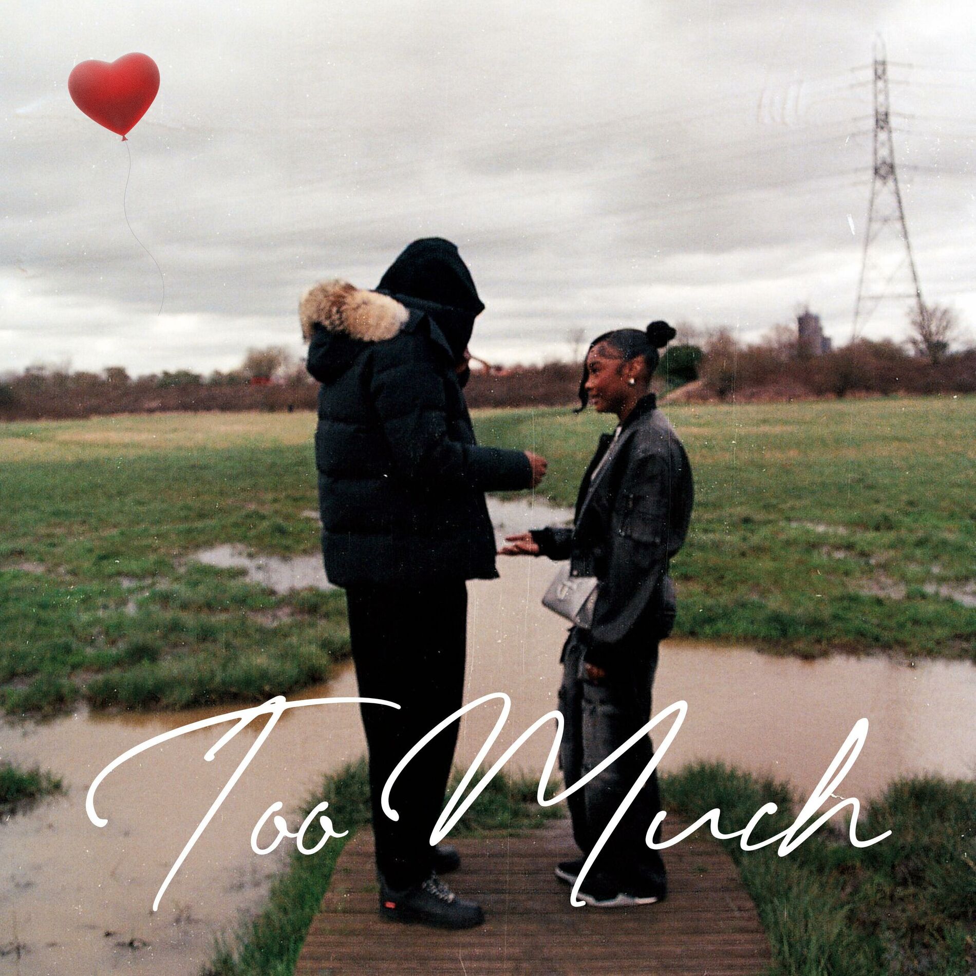 Album cover of Too Much