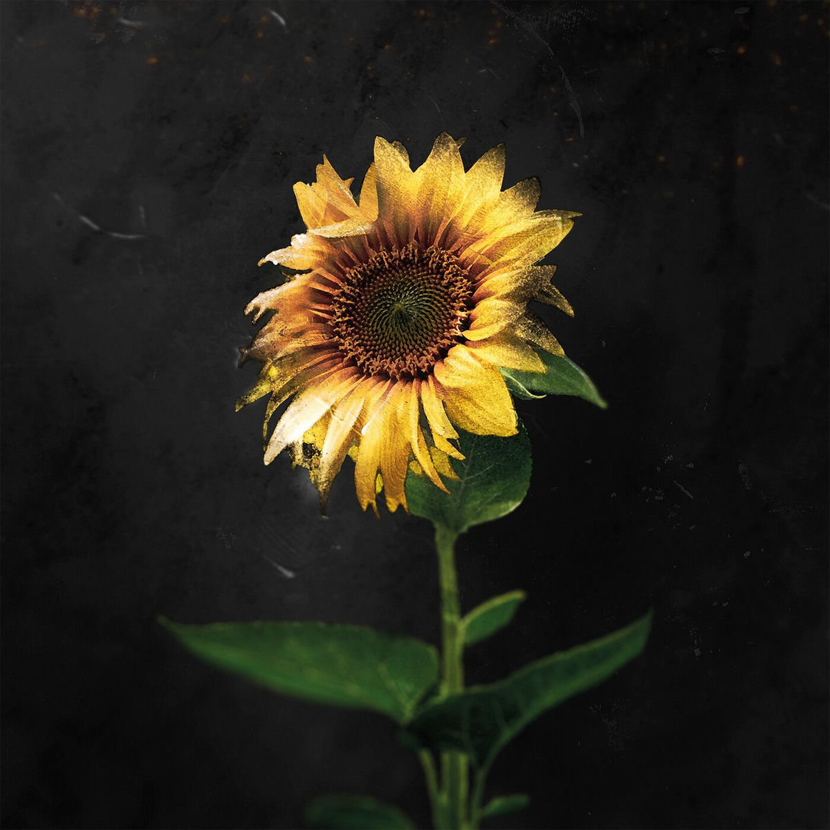 Album cover of Hijack