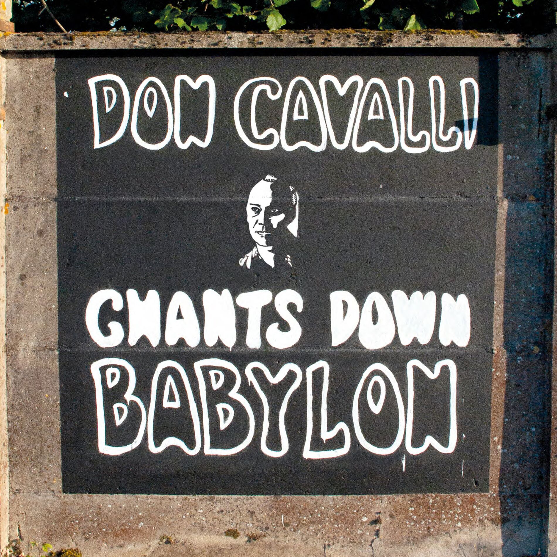 Album cover of Chants Down Babylon