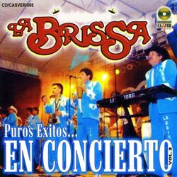 Cover of Puros Exitos en Concierto, Vol. 2
