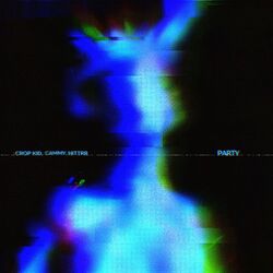 Cover of Party