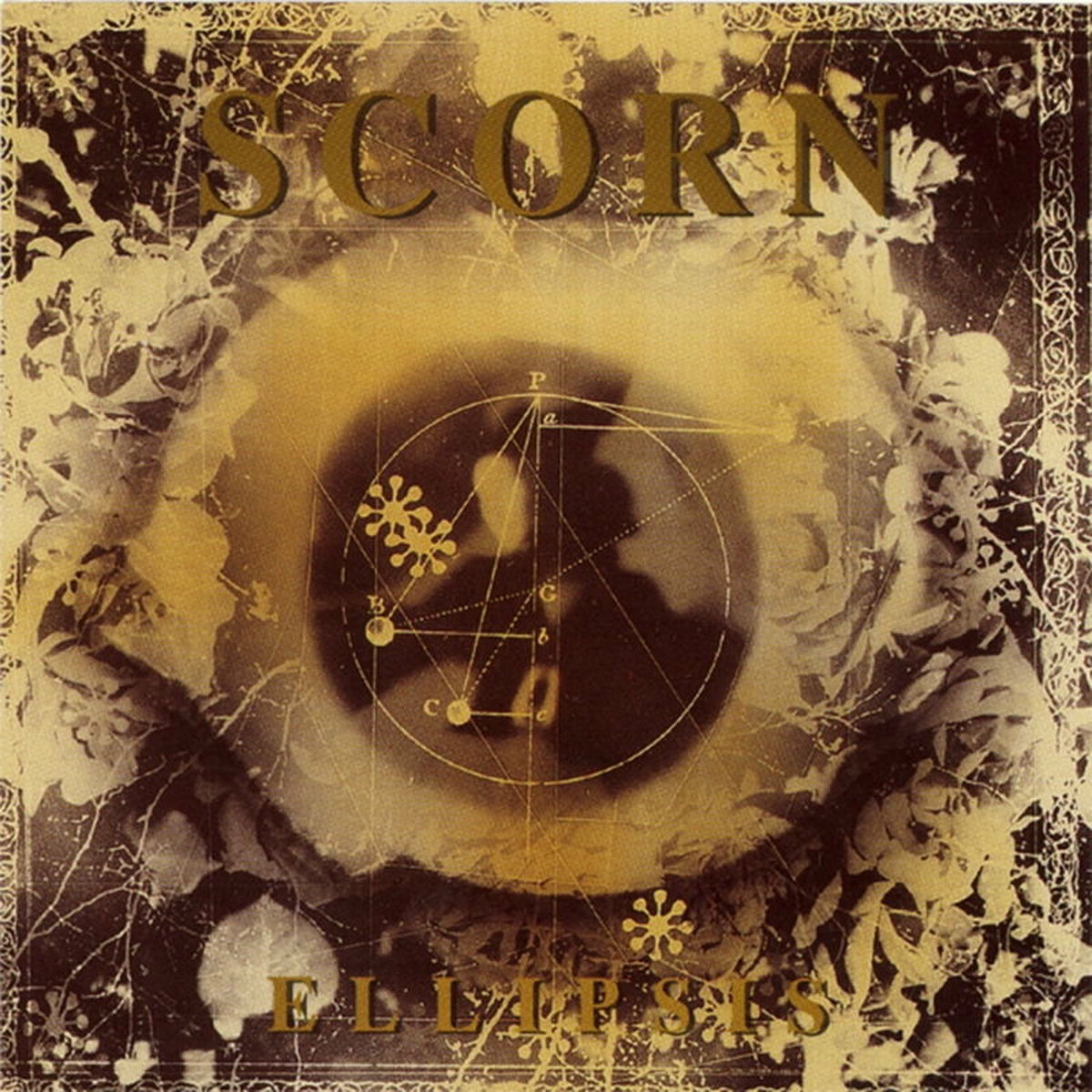 Scorn: albums, songs, concerts | Deezer