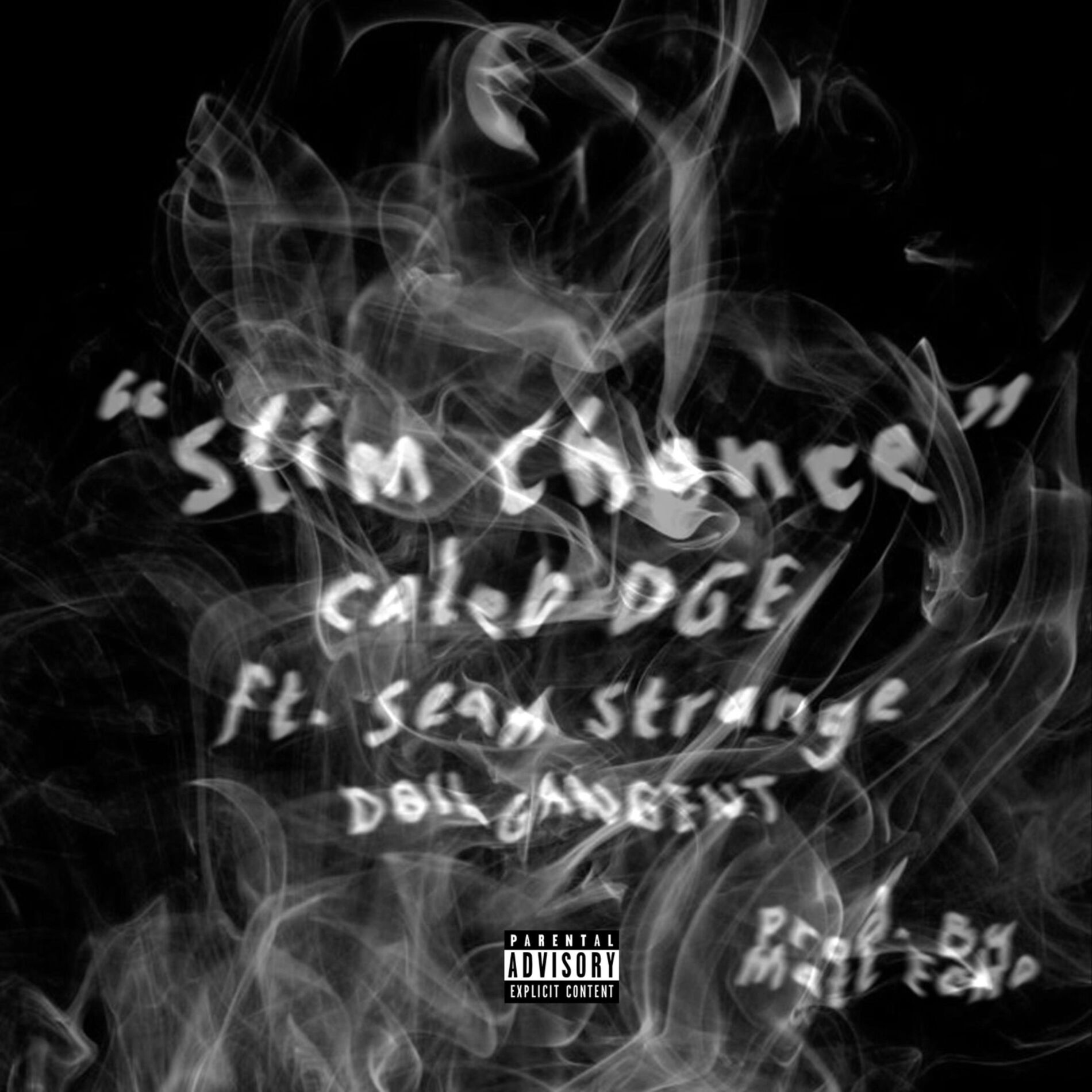 Album cover of Slim Chance