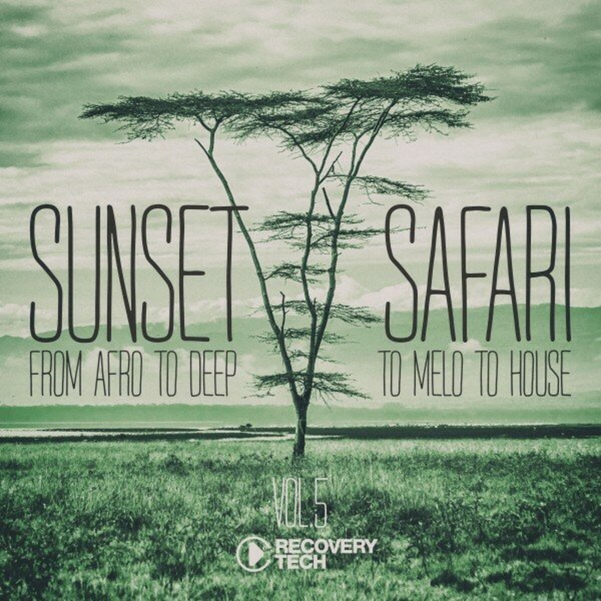 Album cover of Sunset Safari, Vol. 5