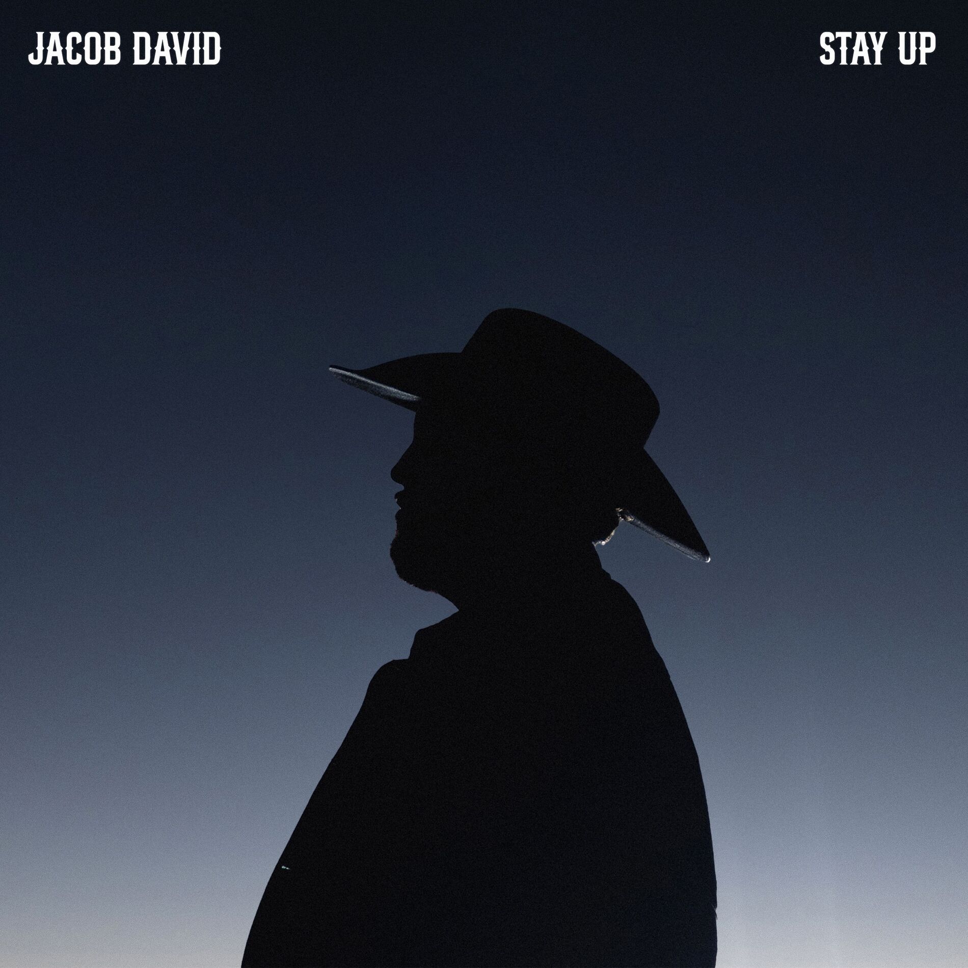 Album cover of Stay Up