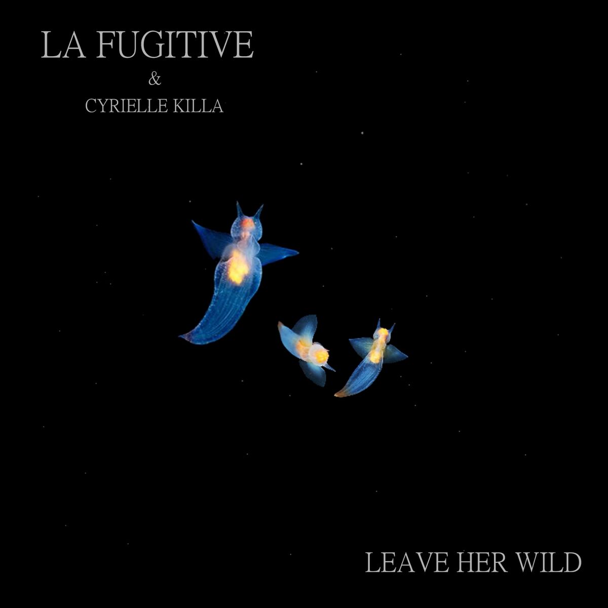 Album cover of Leave Her Wild