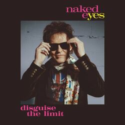 Cover of Disguise The Limit