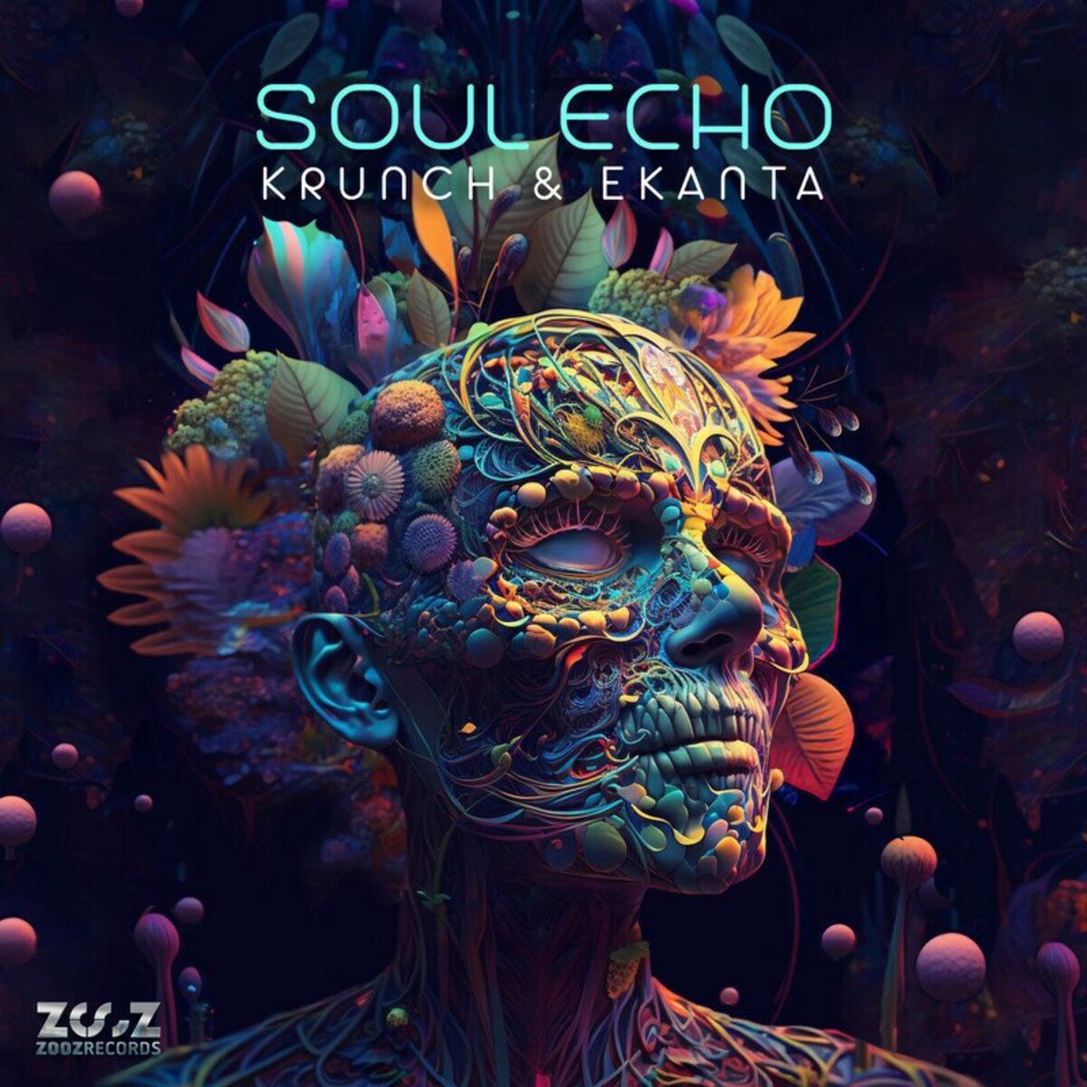 Album cover of Soul Echo