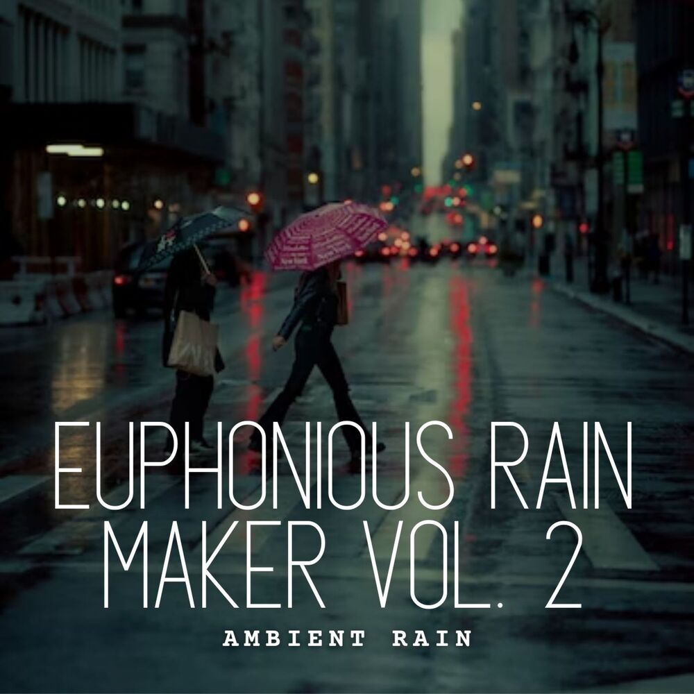 Picture of Ambient Rain: Euphonious Rain Maker Vol. 2