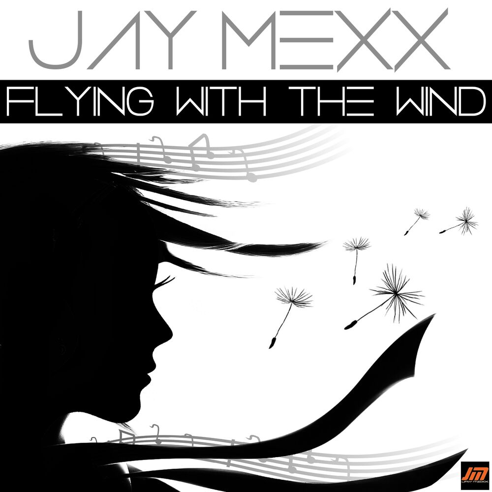 Picture of Flying with the Wind