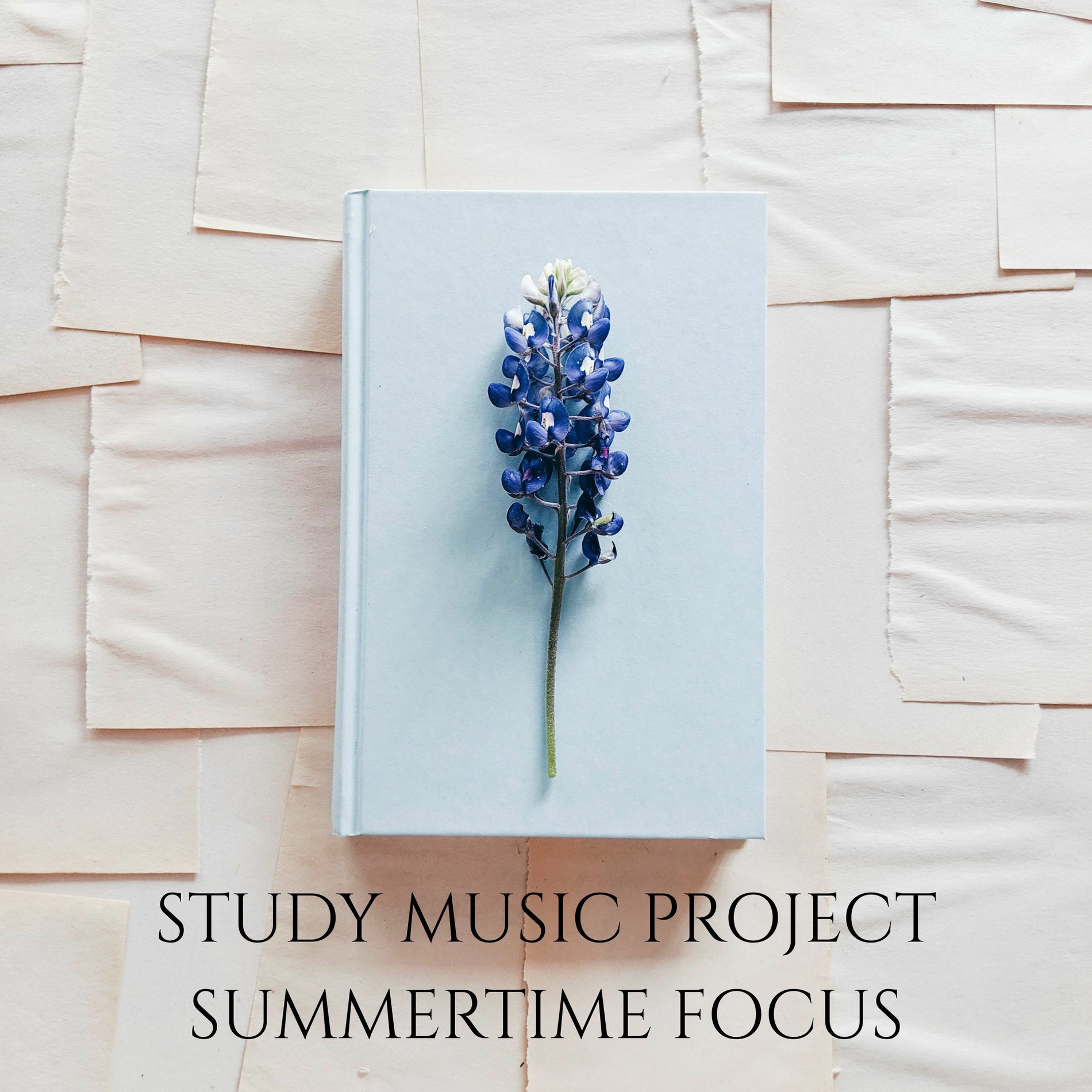 Album cover of Summertime Focus