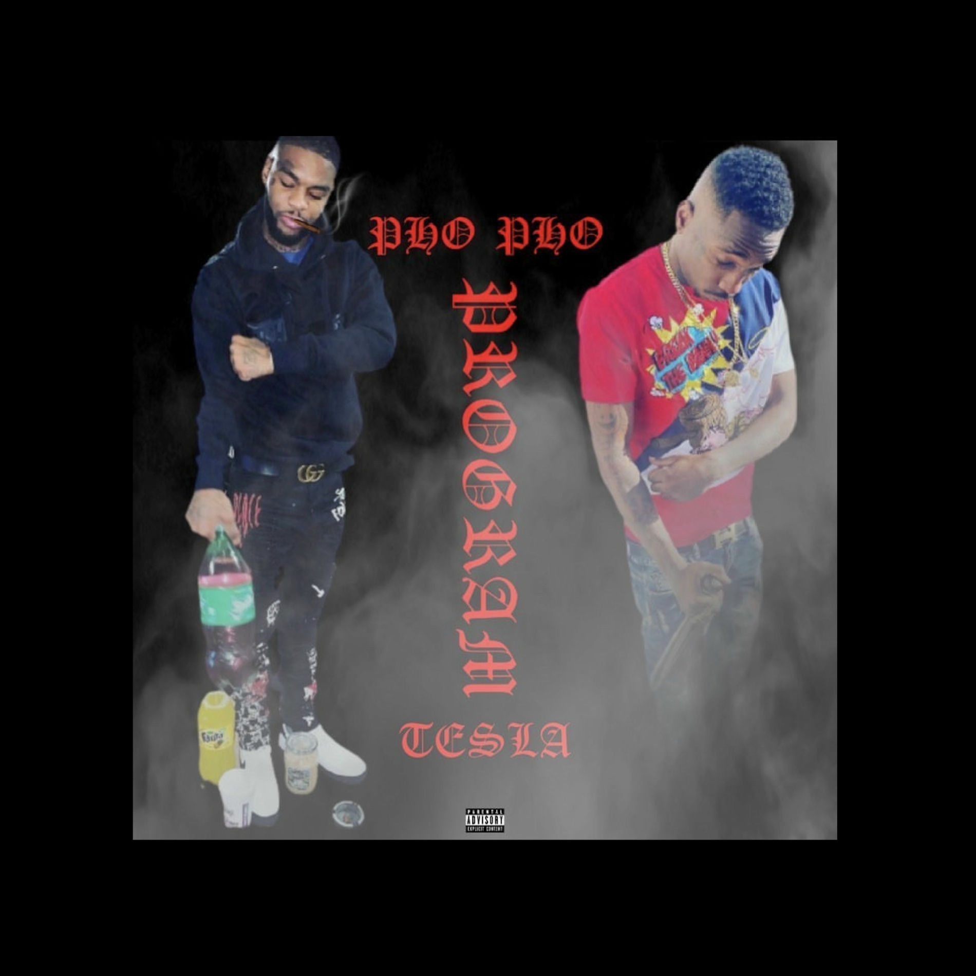 Album cover of Program (feat. Tesla)