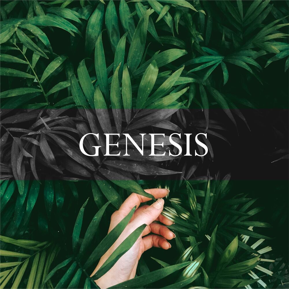 Picture of Genesis