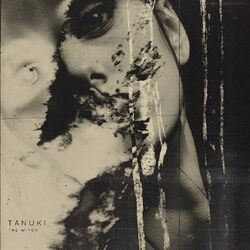Cover of The Witch