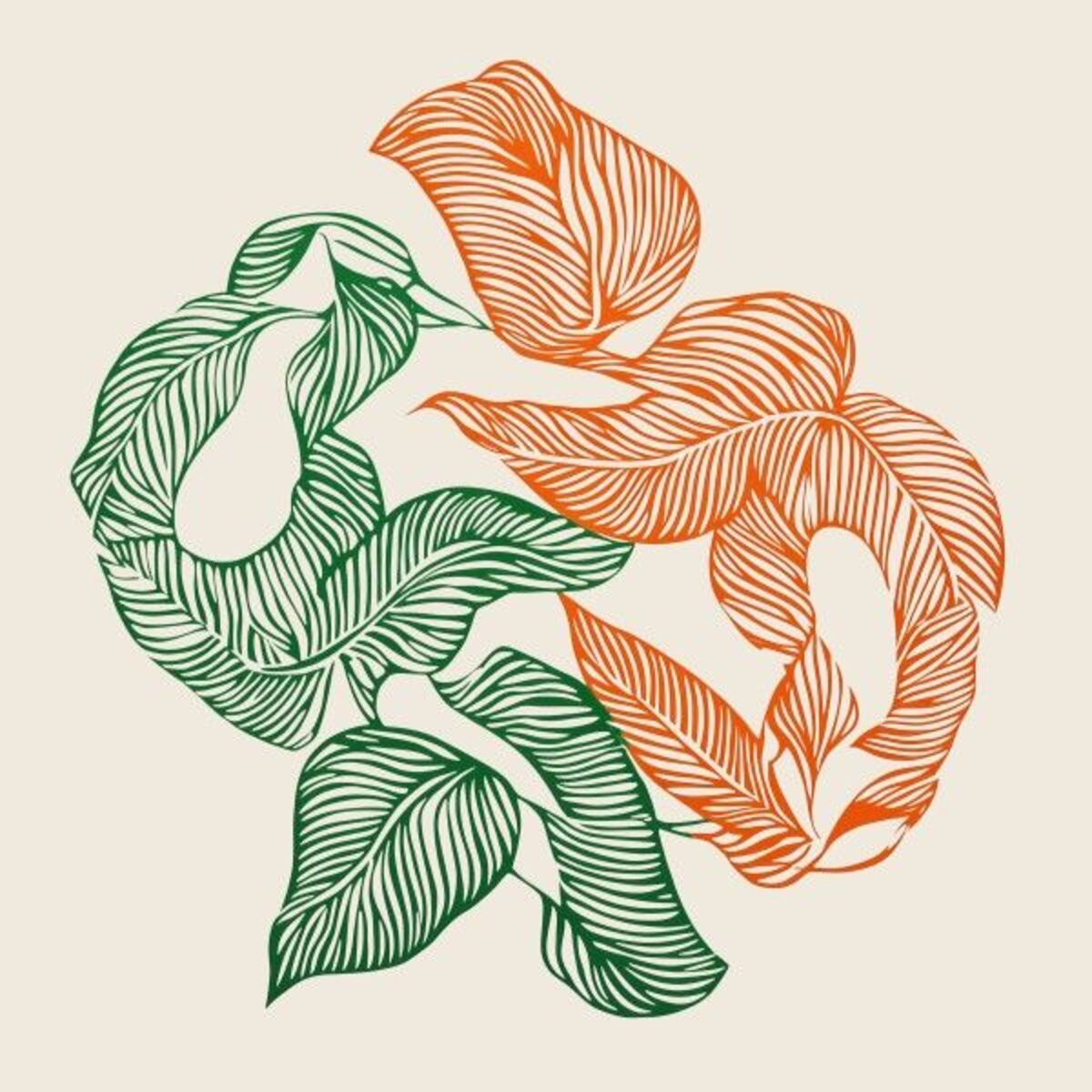 Album cover of U Set Me Free