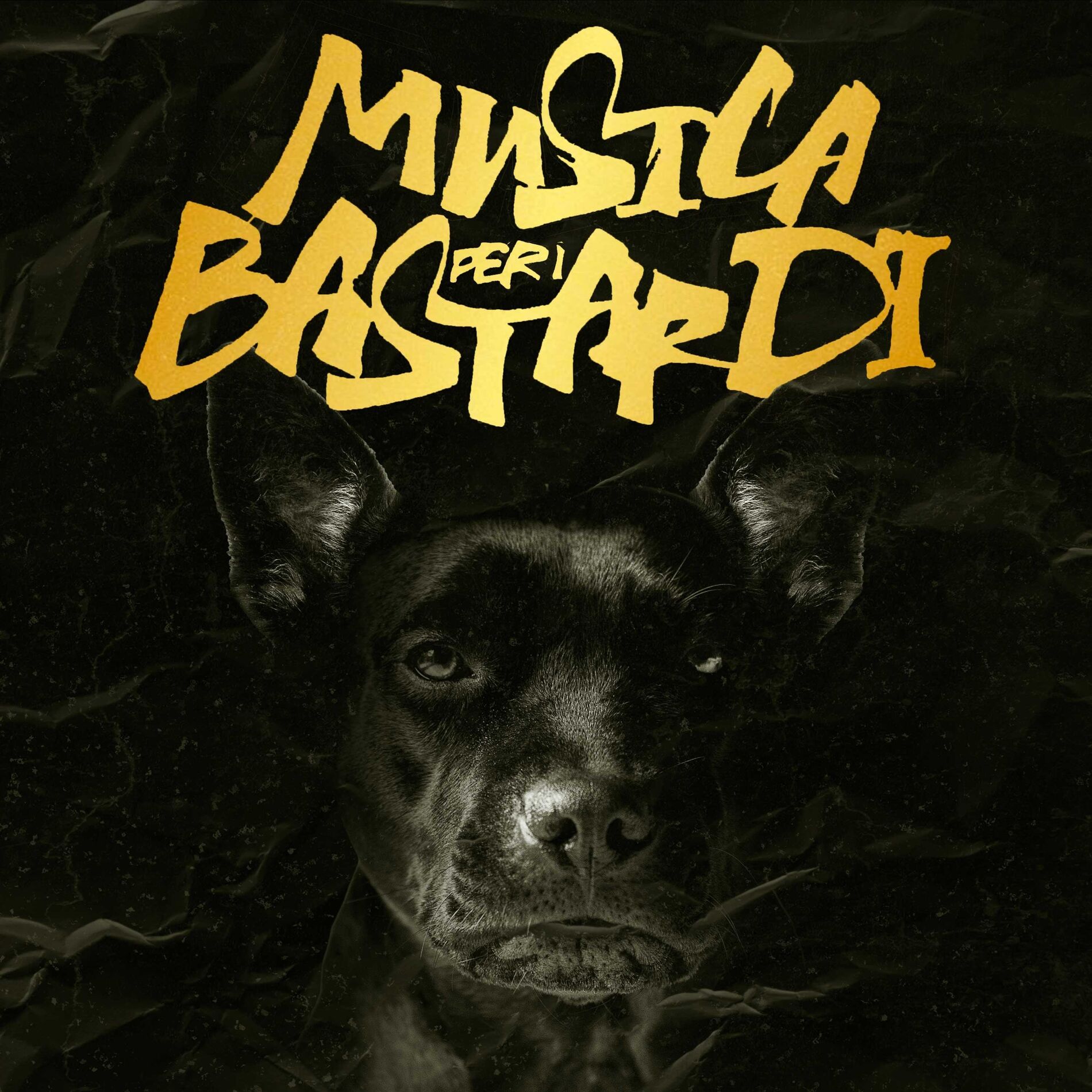 Album cover of MUSICA PER I BASTARDI