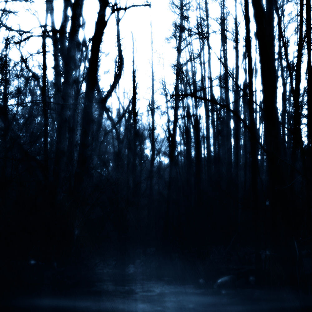 Picture of Still