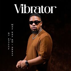 Cover of Vibrator