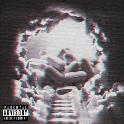Cover of Self Medicate