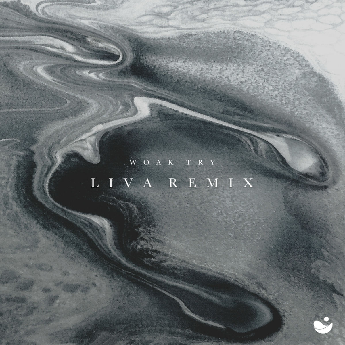 Album cover of Try (LIVA Remix)