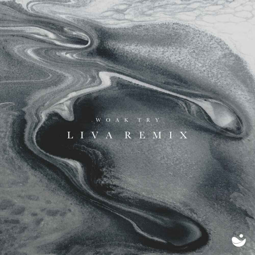 Picture of Try (LIVA Remix)