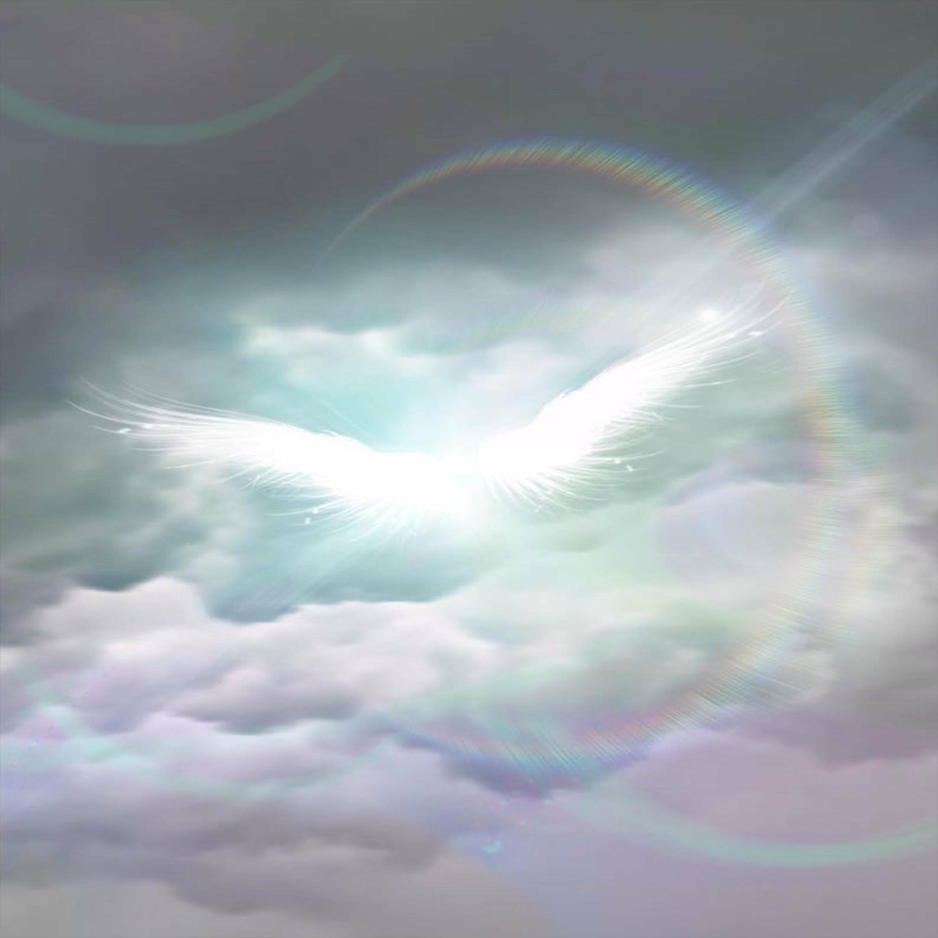 Album cover of Aexhy x DJ Traytex - Fragments