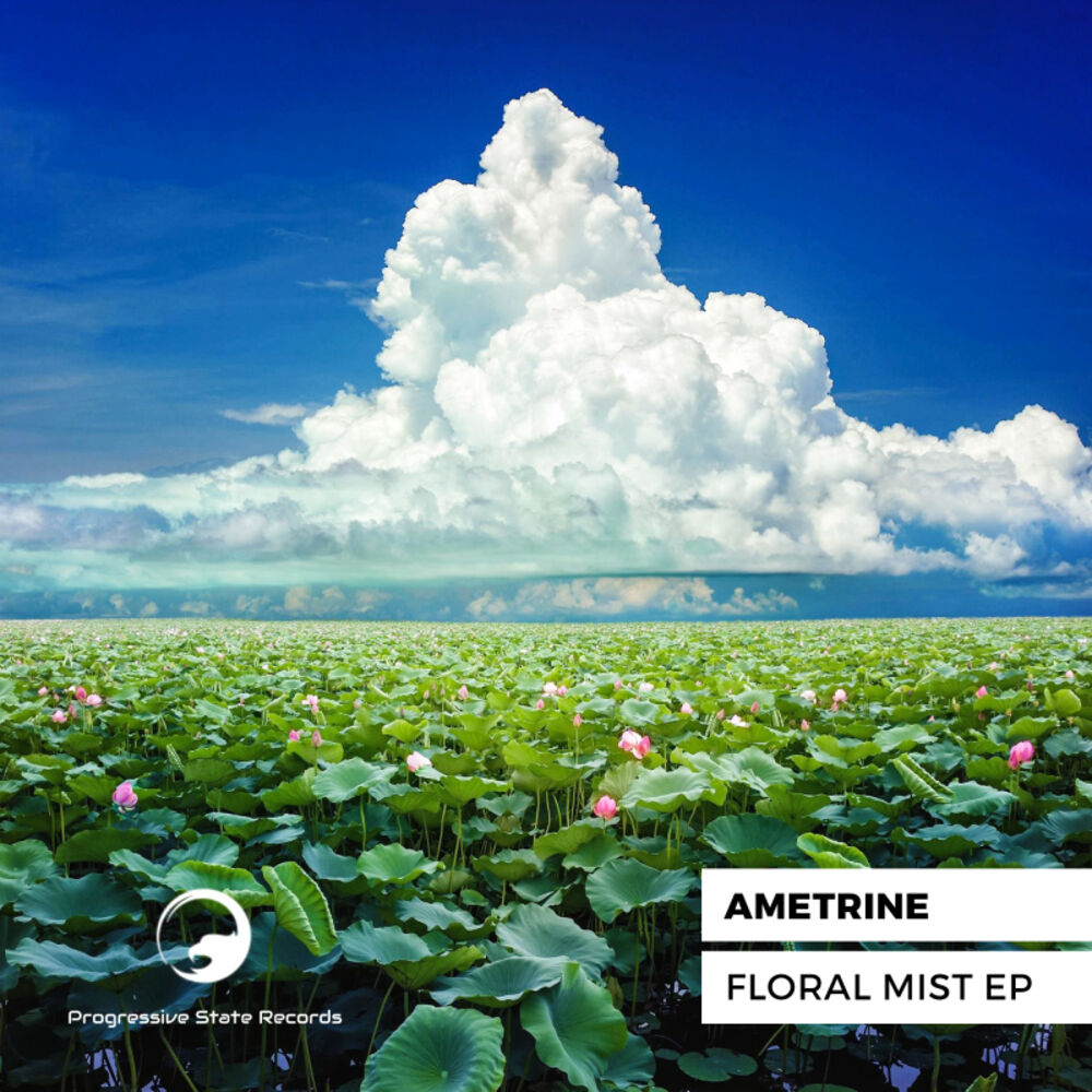 Picture of Floral Mist EP