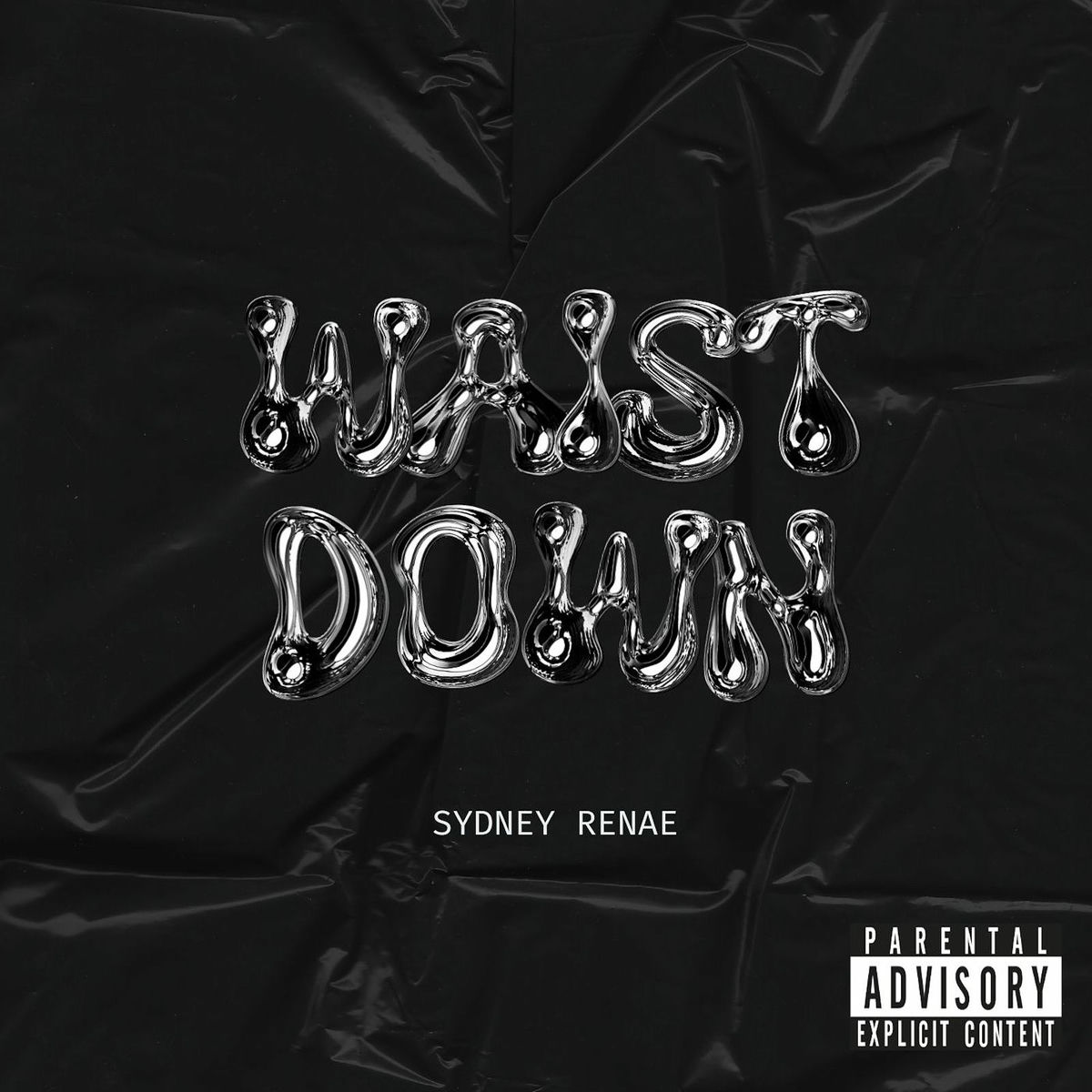 Album cover of Waist Down