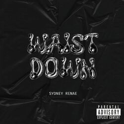 Cover of Waist Down