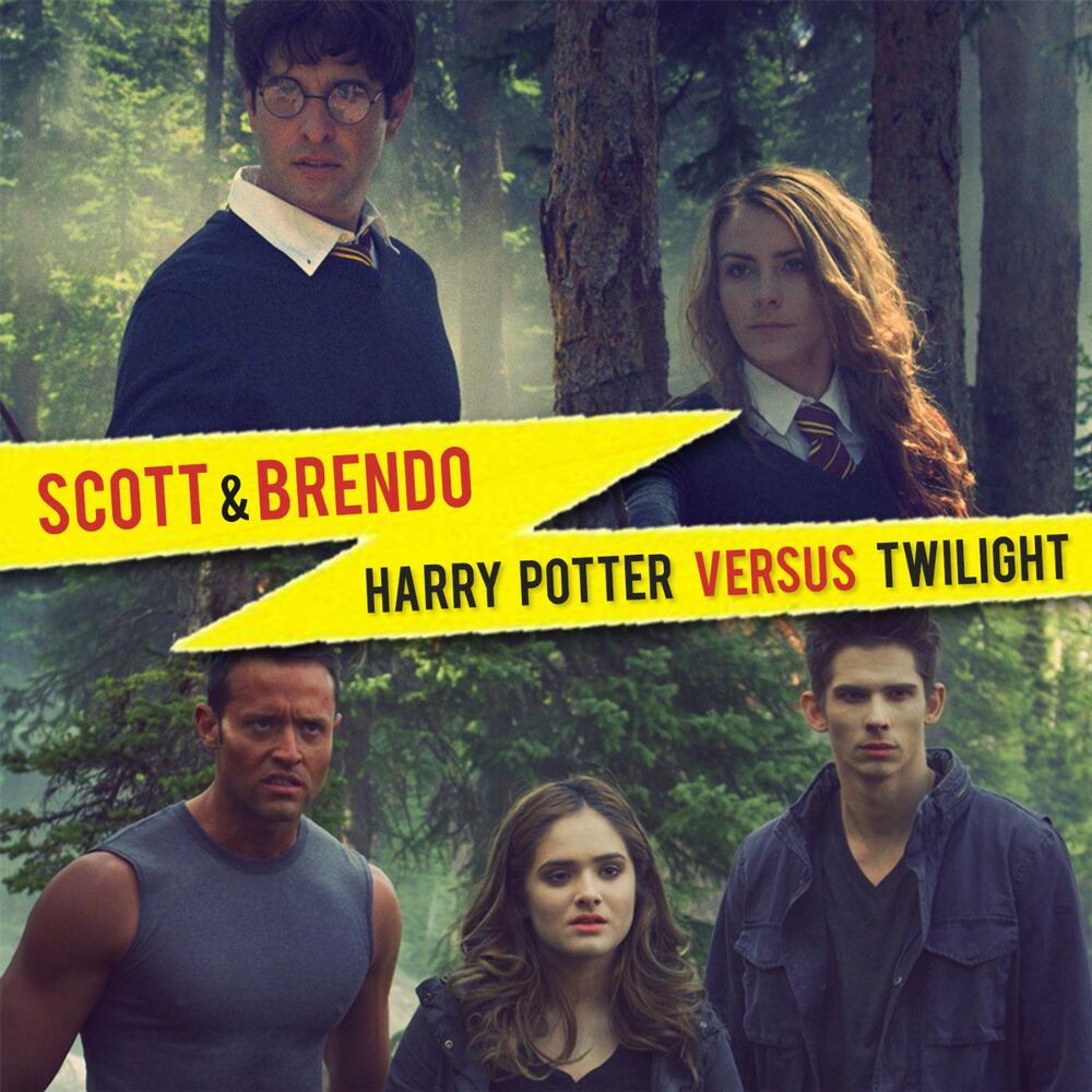 Picture of Harry Potter vs Twilight