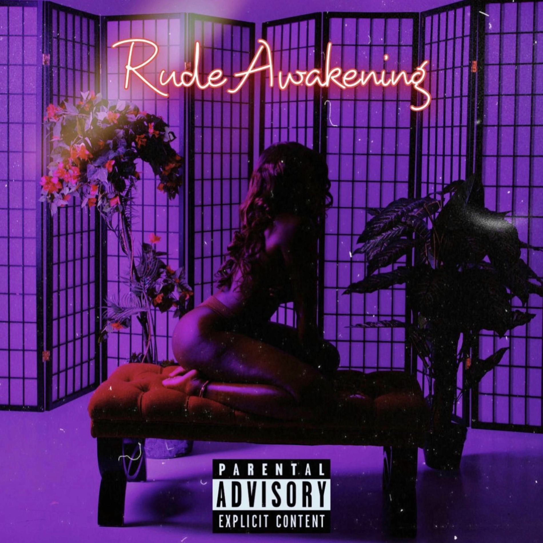 Album cover of Rude Awakening