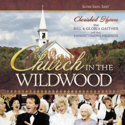 Cover of Church In The Wildwood