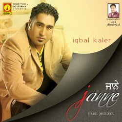 Cover of Janne