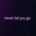 never let you go