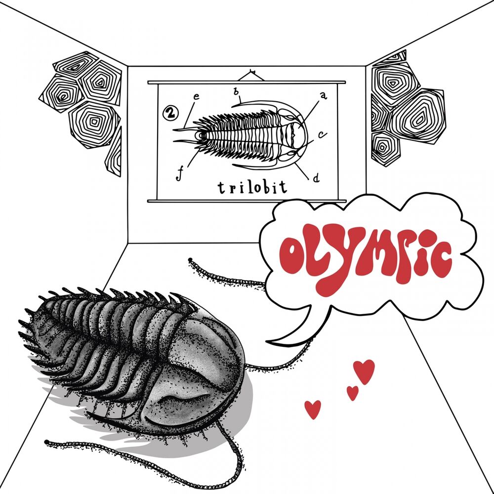 Picture of Trilobit